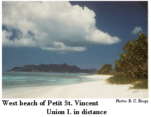 Petit St. Vincent beach
